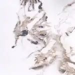 Garet kerek étkezőasztal – fehér márvány / fekete - Image 2